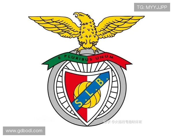 足球明星及其在球队中的职位一览图解